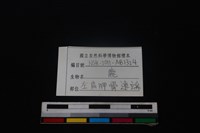 梅花鹿骨藏品圖，第3張