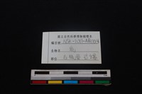 梅花鹿骨藏品圖，第3張