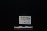 梅花鹿骨藏品圖，第3張