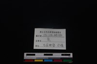 梅花鹿骨藏品圖，第3張