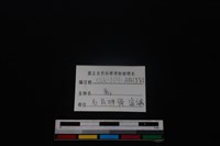 梅花鹿骨藏品圖，第3張
