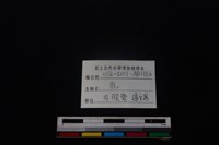 梅花鹿骨藏品圖，第3張