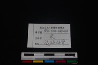 梅花鹿骨藏品圖，第3張