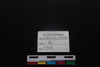 梅花鹿骨藏品圖，第3張