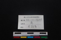 梅花鹿骨藏品圖，第3張