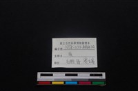 梅花鹿骨藏品圖，第3張
