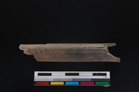 梅花鹿骨藏品圖，第1張