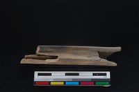 梅花鹿骨藏品圖，第2張