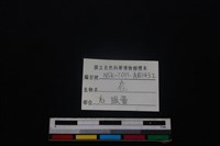 梅花鹿骨藏品圖，第3張