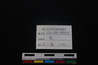 梅花鹿骨藏品圖，第3張