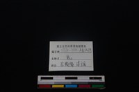 梅花鹿骨藏品圖，第3張