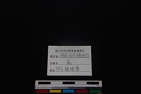 梅花鹿骨藏品圖，第3張