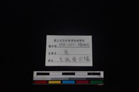 梅花鹿骨藏品圖，第3張
