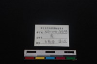梅花鹿骨藏品圖，第3張