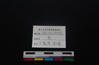 梅花鹿骨藏品圖，第3張