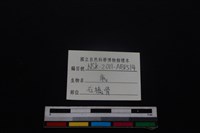 梅花鹿骨藏品圖，第3張