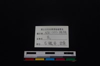 梅花鹿骨藏品圖，第3張