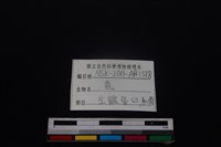 梅花鹿骨藏品圖，第3張