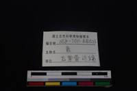 梅花鹿骨藏品圖，第3張