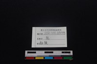 梅花鹿骨藏品圖，第5張