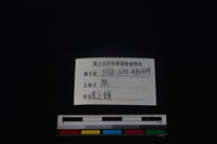 梅花鹿骨藏品圖，第4張