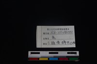梅花鹿骨藏品圖，第3張
