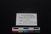 豬骨藏品圖，第4張