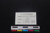 豬骨藏品圖，第3張