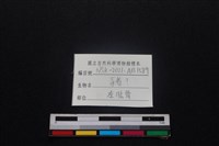 豬骨藏品圖，第3張