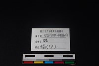 豬骨藏品圖，第3張