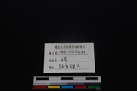 豬骨藏品圖，第3張