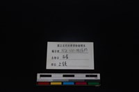 豬骨藏品圖，第3張