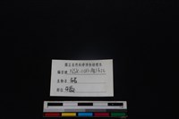 豬骨藏品圖，第3張