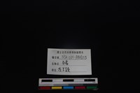 豬骨藏品圖，第4張