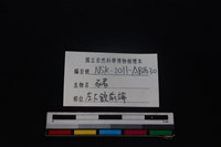豬骨藏品圖，第4張