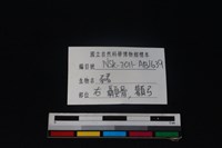 豬骨藏品圖，第3張