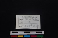 山羌骨藏品圖，第3張