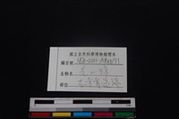 鹿科骨藏品圖，第3張