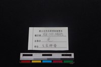山羌骨藏品圖，第3張