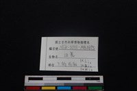 山羌骨藏品圖，第3張