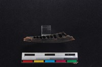 山羌骨藏品圖，第3張