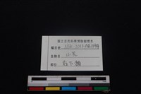 山羌骨藏品圖，第3張
