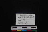 狗骨藏品圖，第4張
