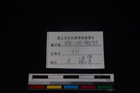 狗骨藏品圖，第3張