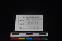 環頸雉骨藏品圖，第3張