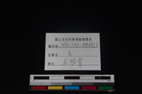 鳥綱骨藏品圖，第3張