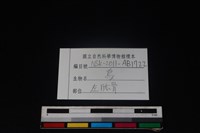 鳥綱骨藏品圖，第3張