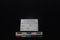 梅花鹿骨藏品圖，第3張