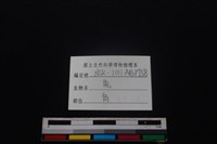 梅花鹿骨藏品圖，第3張