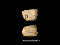 梅花鹿骨藏品圖，第1張